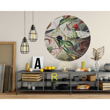 Beautiful Group Hummingbirds Circle Wall Stickers for Bedroom Decor