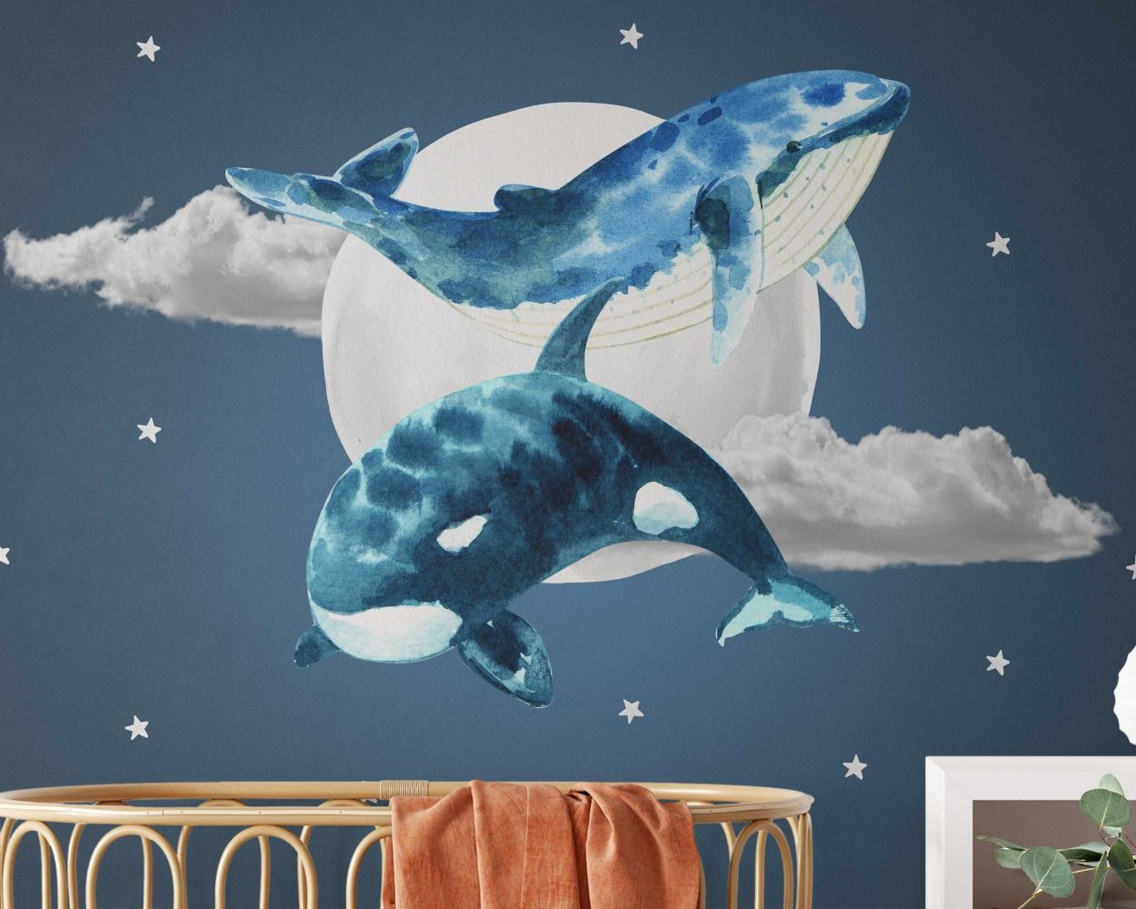 sea animal