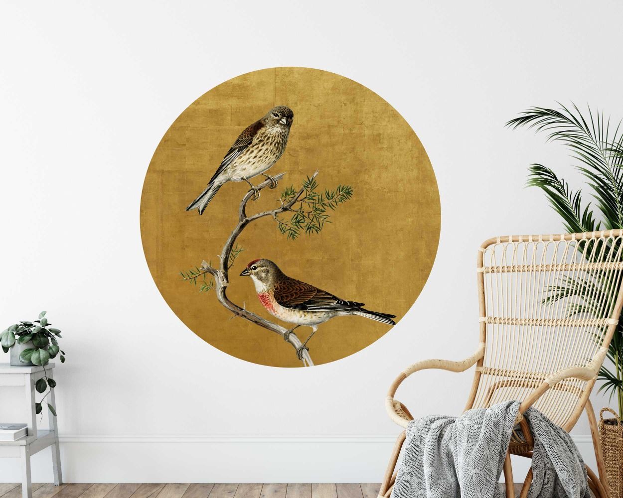 Beautiful Common Linnet Birds Circle Wall Stickers for Bedroom Decor