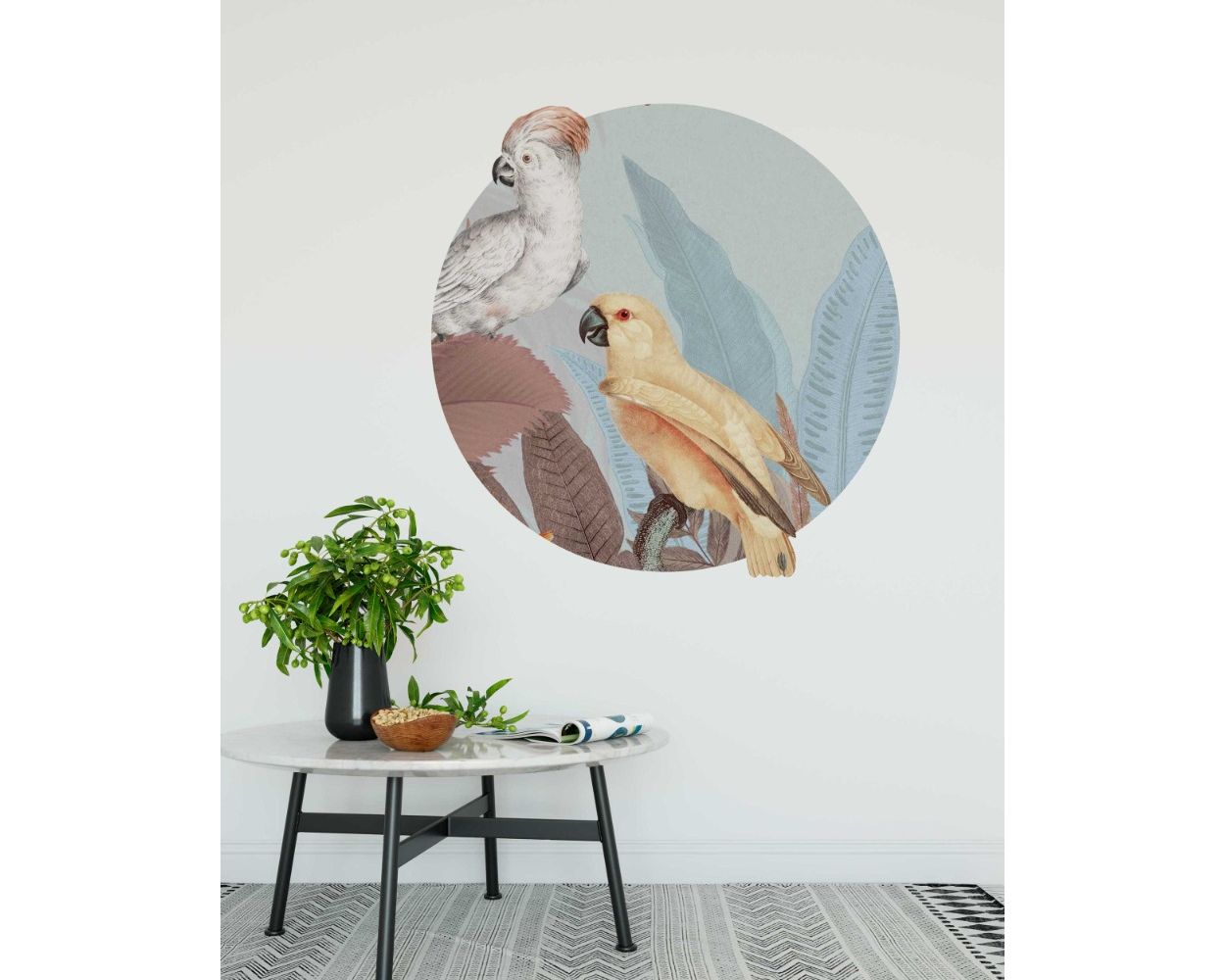 Beautiful Tropical Cockatoo Birds Circle Shape Wall Decals For Nursery Decor 