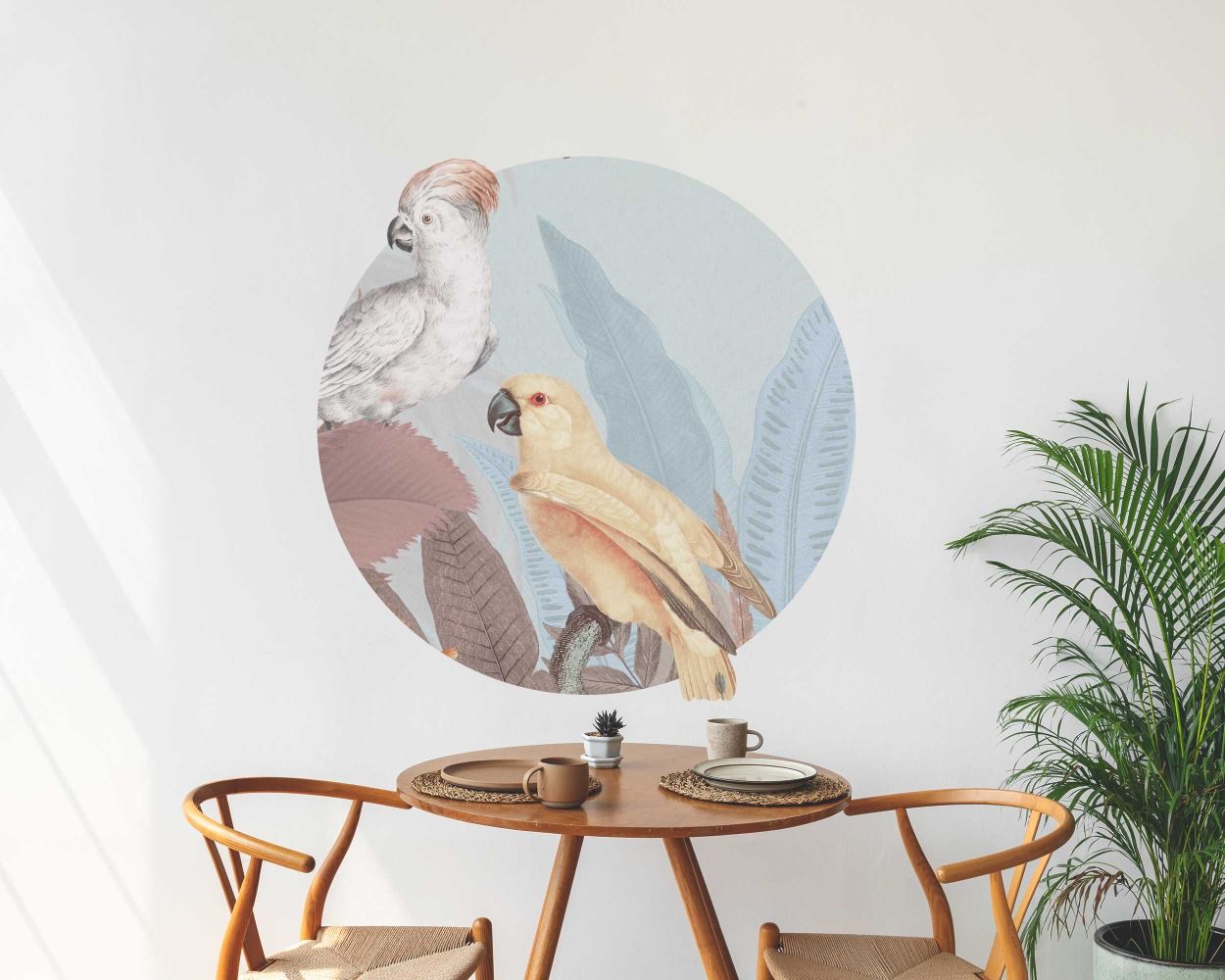 Beautiful Tropical Cockatoo Birds Circle Shape Wall Stickers