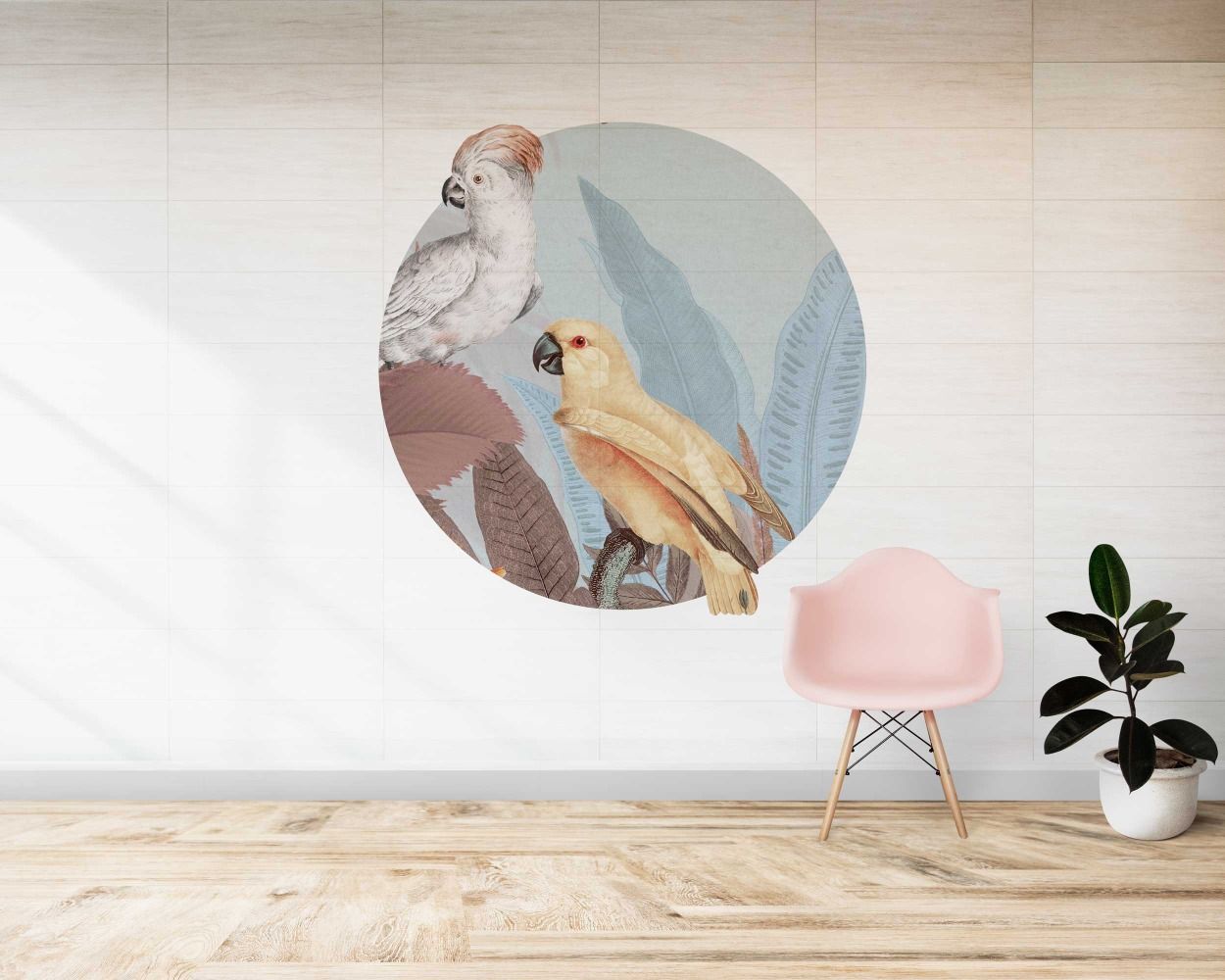 Beautiful Tropical Cockatoo Birds Circle Shape Wall Decals