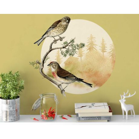 Beautiful Common Linnet Birds Wall Stickers For Nursery Decoration