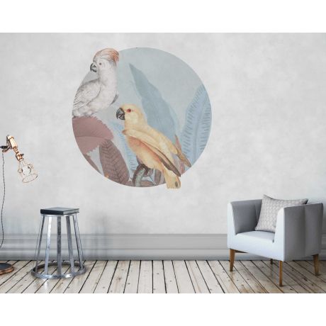 Beautiful Tropical Cockatoo Birds Circle Shape Wall Stickers For Nursery Decor