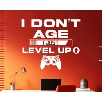 I Don't Age, I Just Level Up gaming wall decals