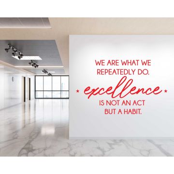 Inspirational Quotes Wall Decals for Office Room Decor