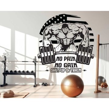No Pain No Gain Gym Quotes Wall Stickers for Gym Decor