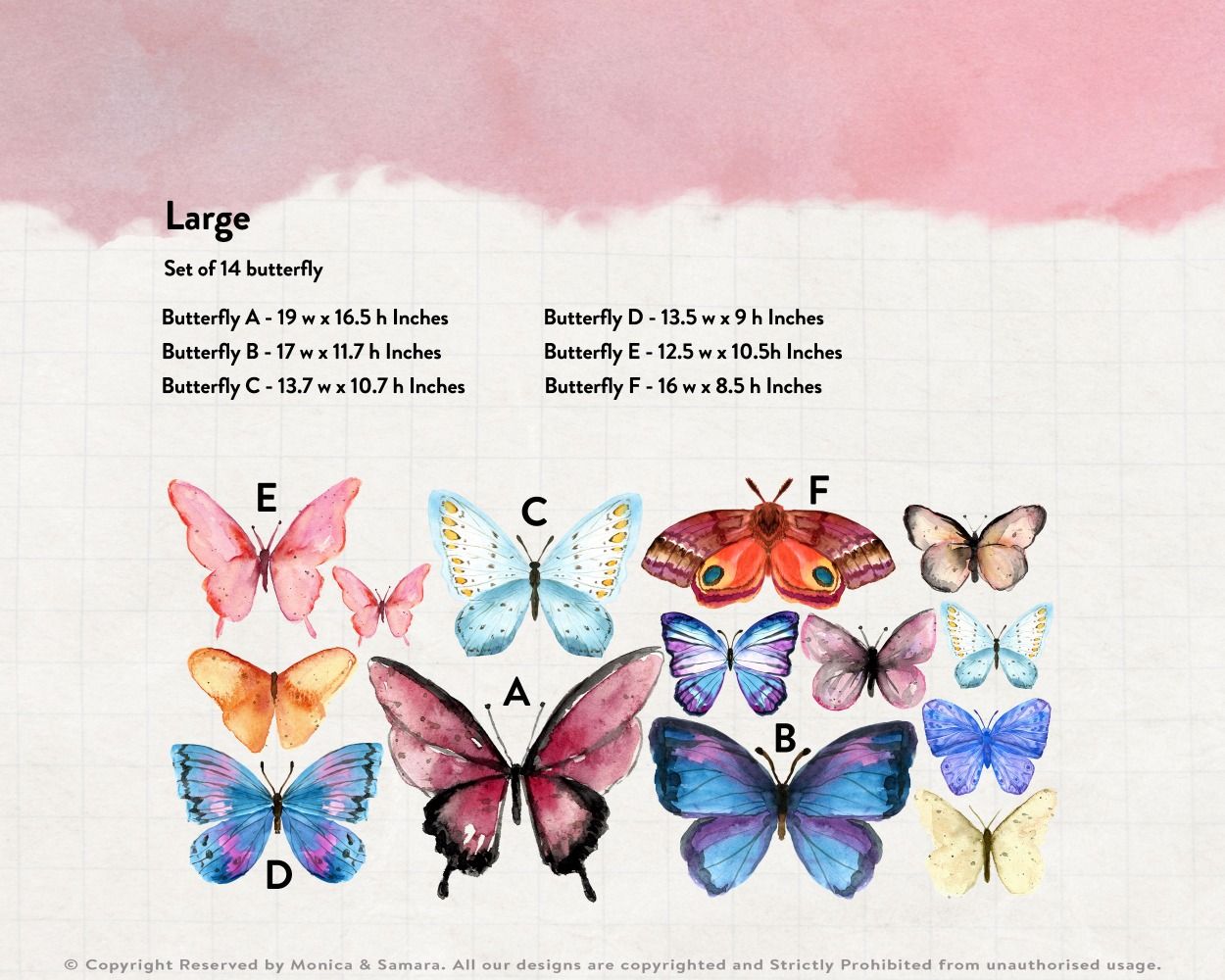 Beautiful Colourful Butterflies Vinyl Wall Decals for Nursery Wall Decor